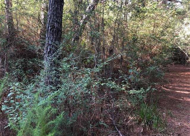 Property at 0 Fisher Dr, Tomball, TX 77377