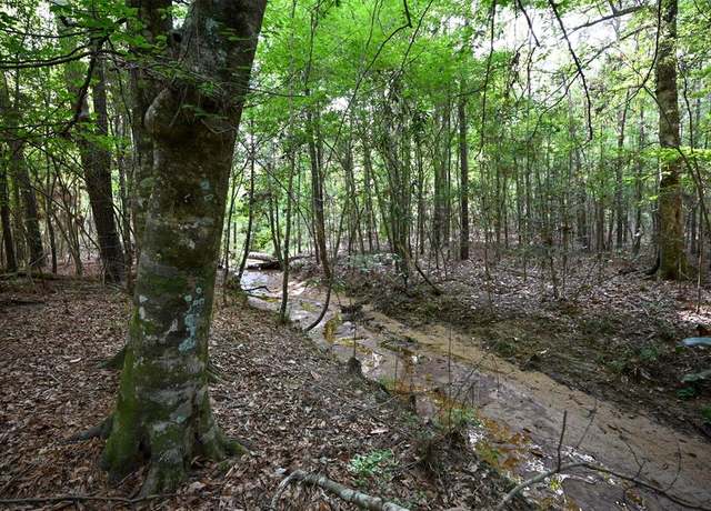 Property at tbd Co Road 2150, Woodville, TX 75979