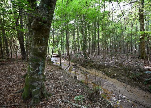 Property at tbd Co Road 2150, Woodville, TX 75979