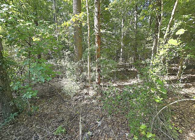 Property at TBD Rugeley Trl, Livingston, TX 77351