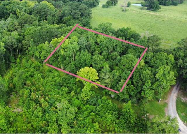 Property at TBD State Highway Loop 116, Livingston, TX 77351