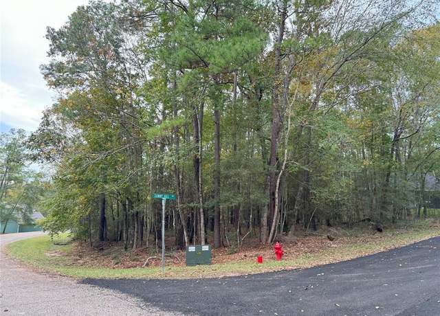 Property at 179 Green Tree Dr, Coldspring, TX 77331