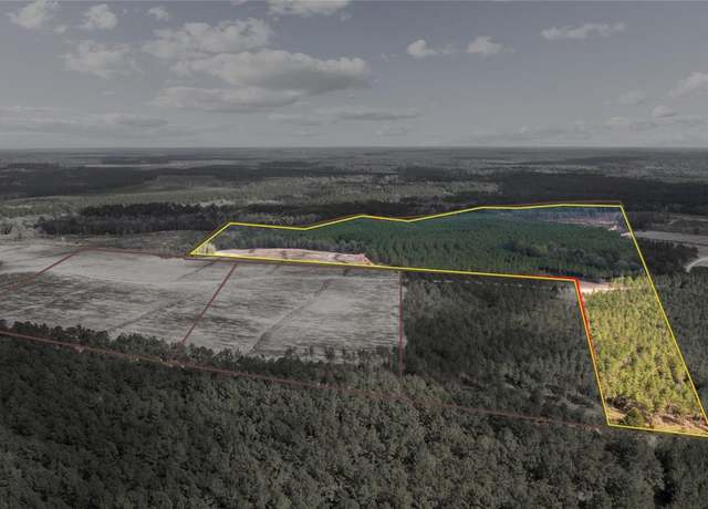 Property at TBD Segno Fire Ln Rd, Livingston, TX 77351