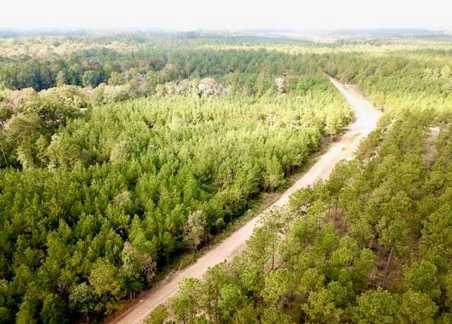 Property at TBD 10.2+/- CR 2310, Woodville, TX 75979