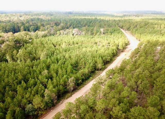 Property at TBD 10.2+/- Cr 2310, Woodville, TX 75979