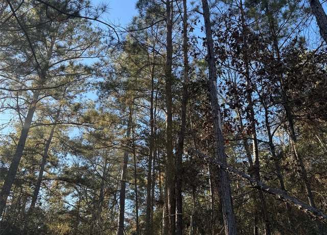 Property at 32-22-11 Grey Feather Rd, Huntsville, TX 77340