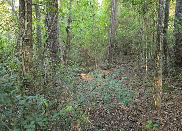 Property at TBD Bones Way Ln, Shepherd, TX 77371