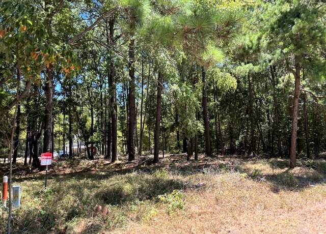 Property at 0 Willowick Ln, Livingston, TX 77351