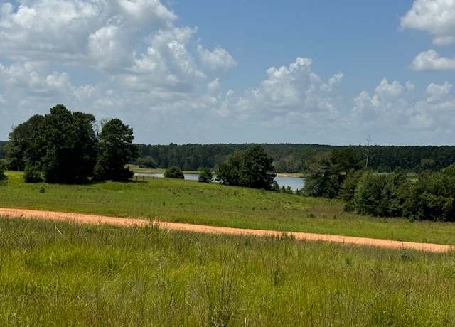 Property at TBD Madison Lake Loop, Hillister, TX 75979