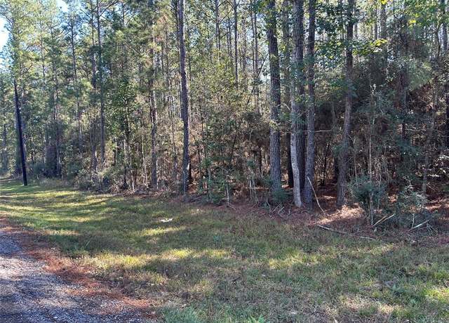 Property at TBD Fm-942 E, Livingston, TX 77351