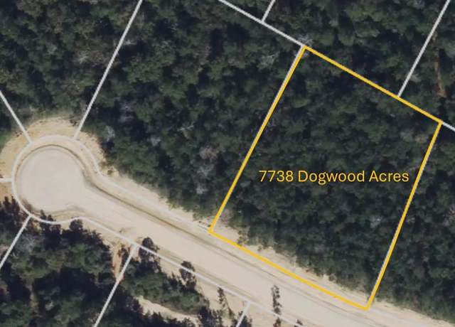 Property at 7738 Dog Wood Acres Dr, Montgomery, TX 77316