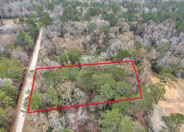 Property at 321 Pine Valley Dr, Shepherd, TX 77371