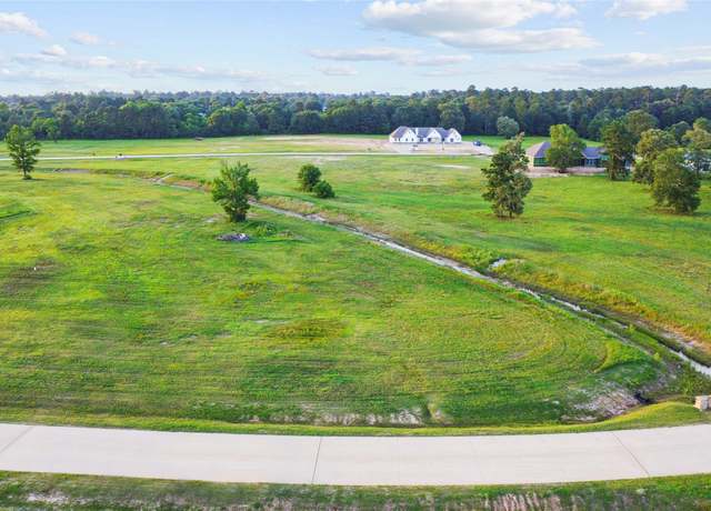 Property at 2307 Iris Cove Ct, Hockley, TX 77447