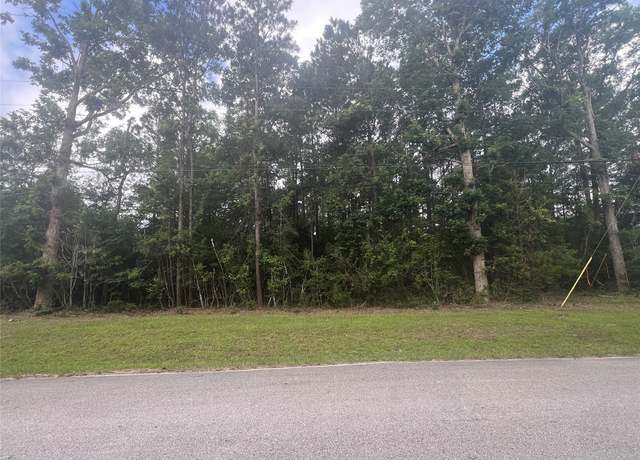 Property at 319 Lost Lake Trl, Livingston, TX 77351