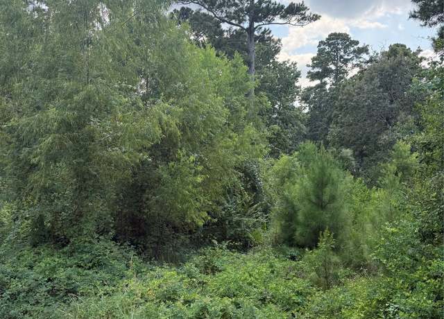 Property at 0 Warbonnet, Huntsville, TX 77320