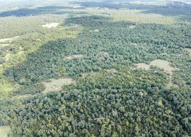 Property at TR 5 FM 942, Leggett, TX 77351