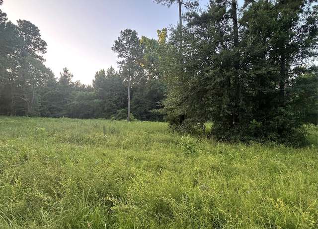 Property at 0 Broken Bough St, Shepherd, TX 77371