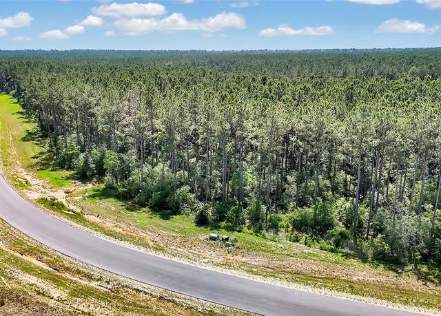 Property at 15469 Forest Grove Dr, Willis, TX 77378