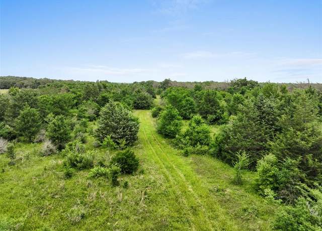 Property at +/- 35 AC Batson Rd, Normangee, TX 77871