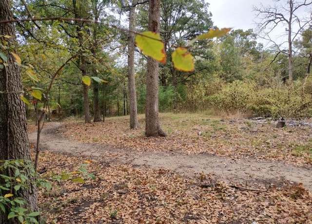 Property at 9411 Pinewood Dr, Hawk Cove, TX 75474