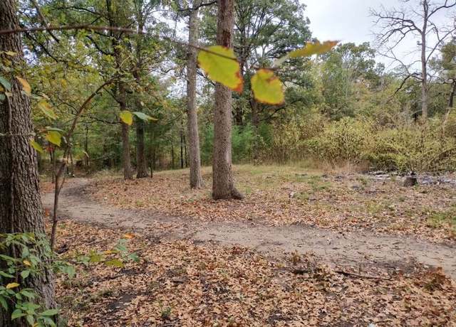Property at 9411 Pinewood Dr, Hawk Cove, TX 75474