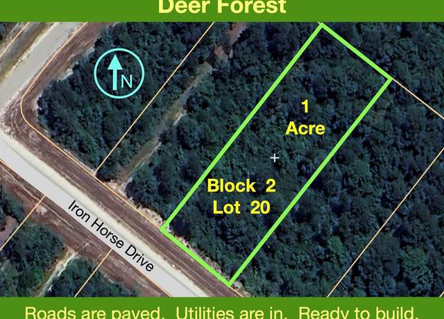 Property at 194 Iron Horse Rd, New Waverly, TX 77358