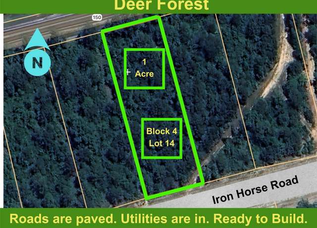 Property at 194 Iron Horse Rd, New Waverly, TX 77358