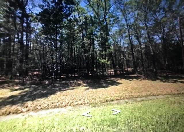 Property at TBD Lakecrest, Livingston, TX 77351
