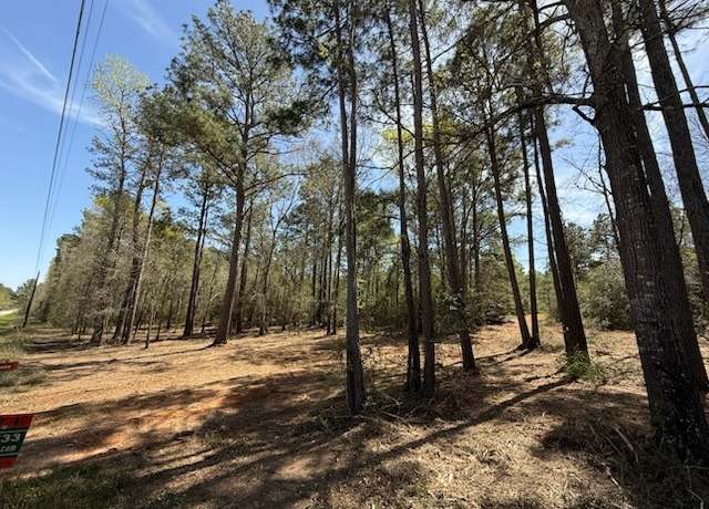 Property at 9724 Renfaire Dr, Plantersville, TX 77363