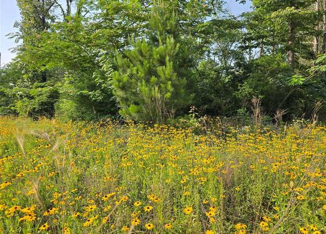 Property at TBD Margie Dr, Livingston, TX 77351
