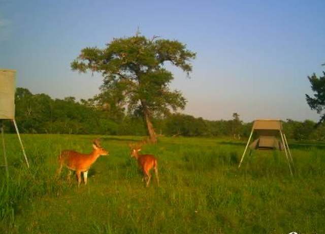 Property at 2015 County Road 740, Damon, TX 77480