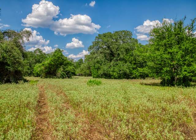 Property at 8595 County Road 324, Caldwell, TX 77836