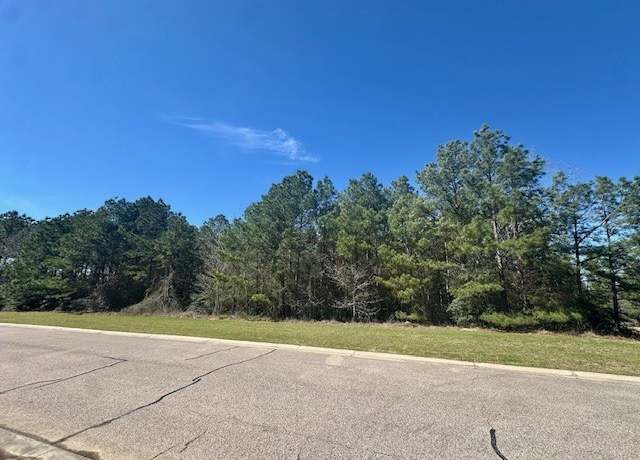 Property at 26130 E Crown Crossing Dr, Montgomery, TX 77316