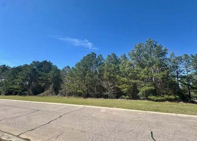 Property at 26130 E Crown Crossing Dr, Montgomery, TX 77316