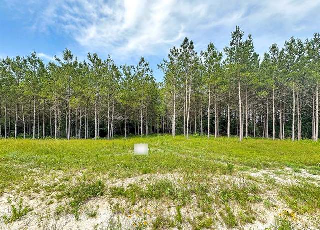 Property at TBD Canopy Ridge Trl, Grapeland, TX 75844