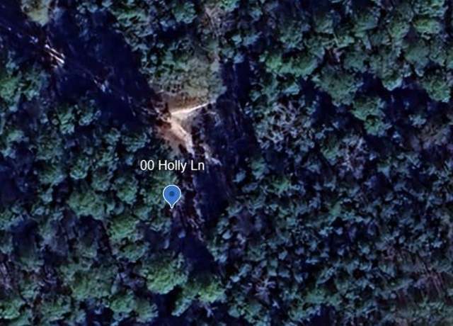 Property at 00 Holly Ln, Oakhurst, TX 77359