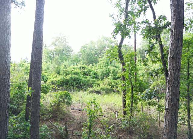 Property at 000 County Road 4813, Bloomburg, TX 75556