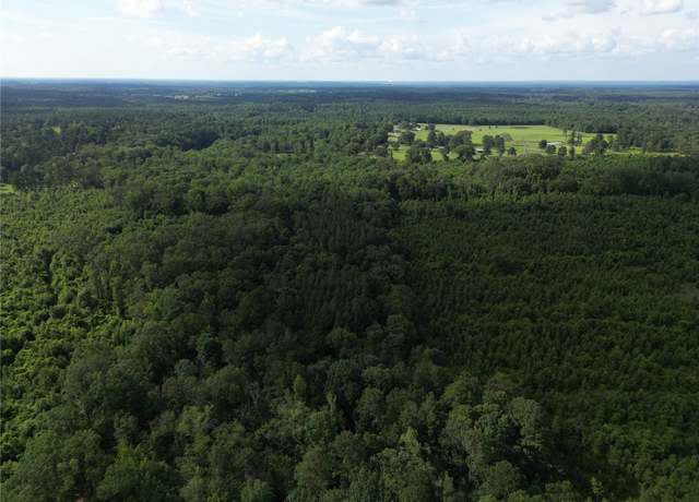 Property at 000 County Road 4813, Bloomburg, TX 75556