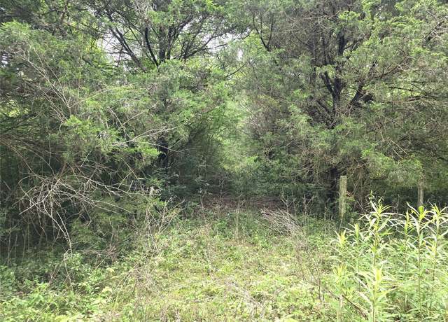Property at 1069 Conestoga Trl, Livingston, TX 77351