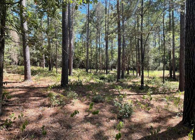 Property at TBD Remington Rd, Huntsville, TX 77340