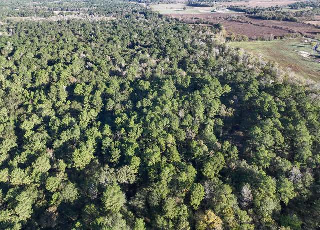 Property at 156 Lessa Ln, Huntsville, TX 77340