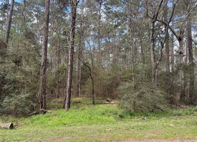 Property at 54 Green Tree Dr, Coldspring, TX 77331