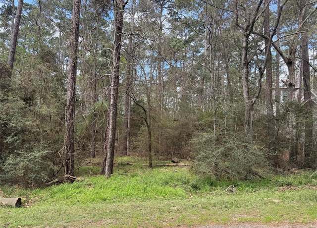 Property at 54 Green Tree Dr, Coldspring, TX 77331