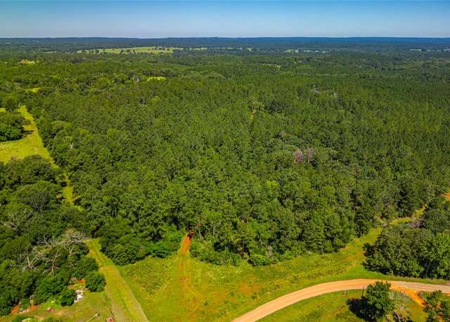 Property at 0 County Road 383, Palestine, TX 75801