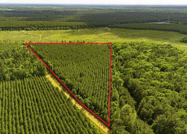 Property at TBD Menard Chapel Rd, Livingston, TX 77351