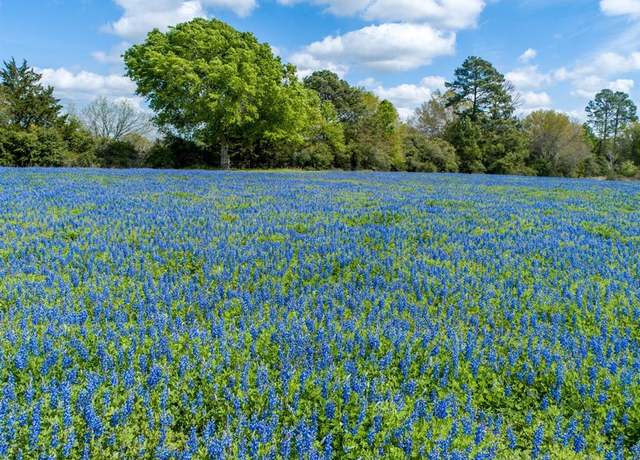 Property at 1255 County Road 260, Hallettsville, TX 77964