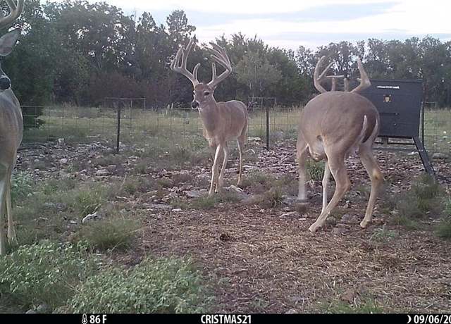 Property at Lot 15 Contrary Creek Rnch, Rocksprings, TX 78880