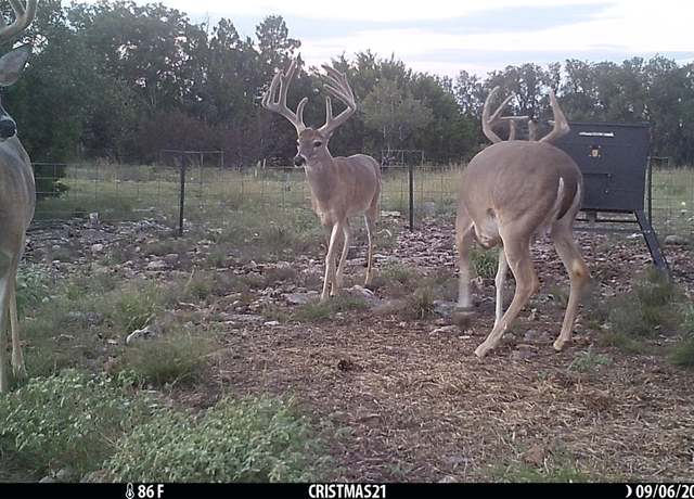 Property at Lot 15 Contrary Creek Rnch, Rocksprings, TX 78880