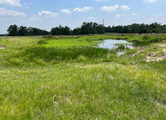 Property at Tract #4 FM 2562 Rd, Richards, TX 77873