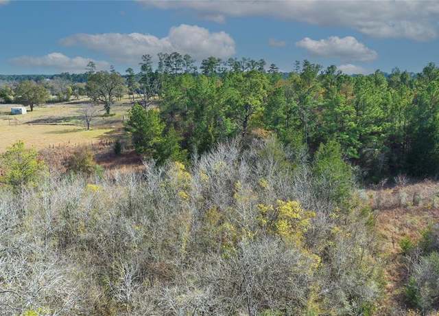 Property at TBD FM 2819, Anderson, TX 77830